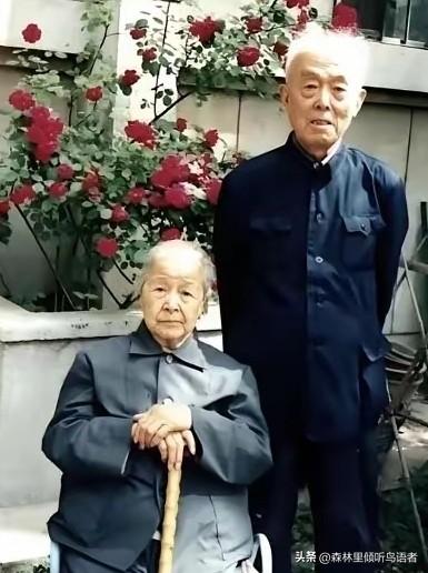 1964年，北大教授季羡林听说妻子彭德华要来北京，连夜把家里的大床换成了单人床，