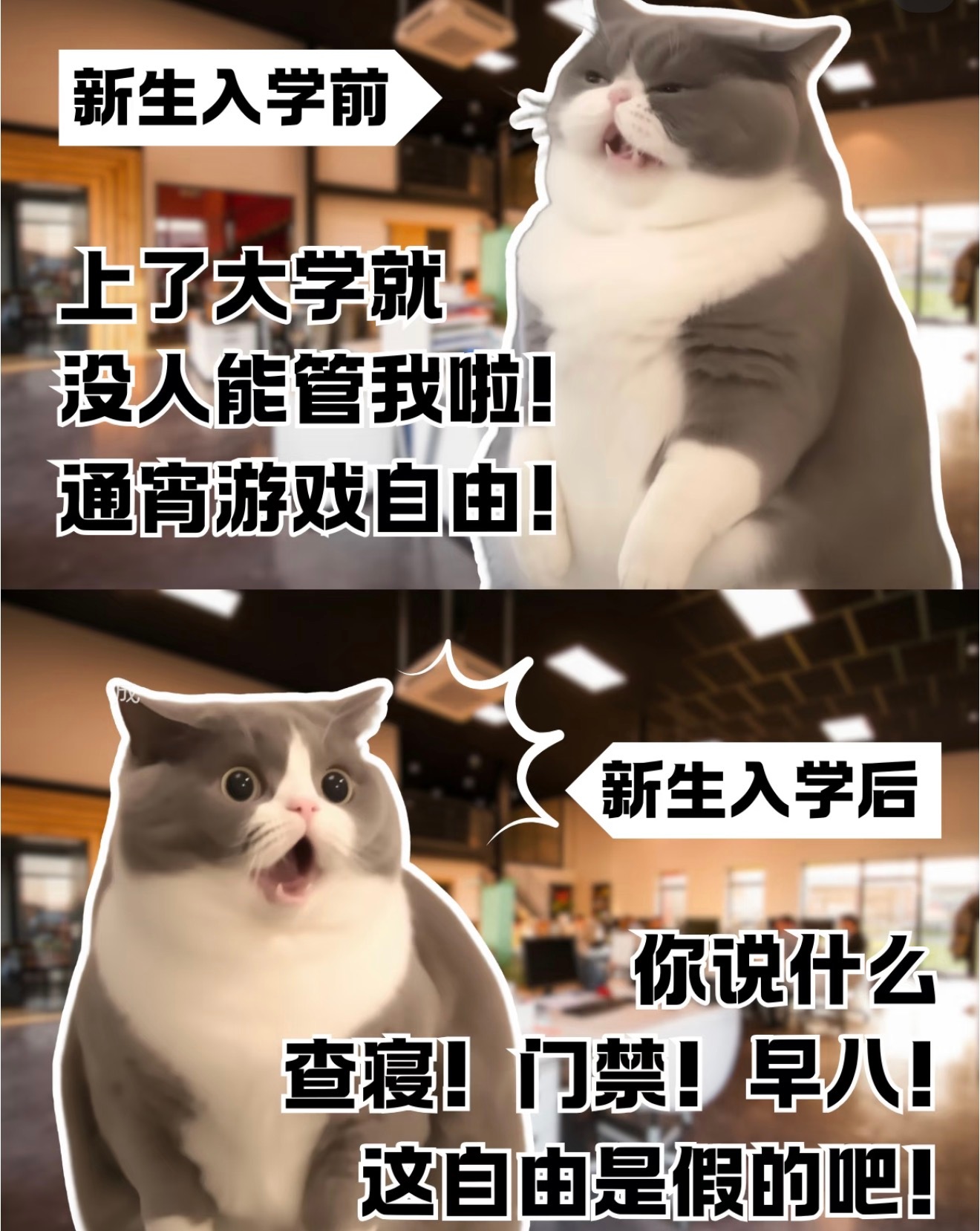 这是真上过大学的谈吐逻辑清晰，做事沉稳有条理，遇事懂得沟通和权衡，分寸感拿捏得恰
