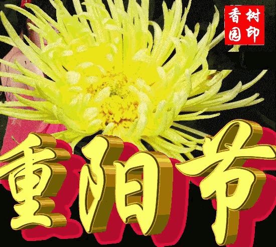 七律，重阳节偶感
 文/理想
莫道家园尽染霜，闽南处处是春阳。
多情枫叶随波舞，