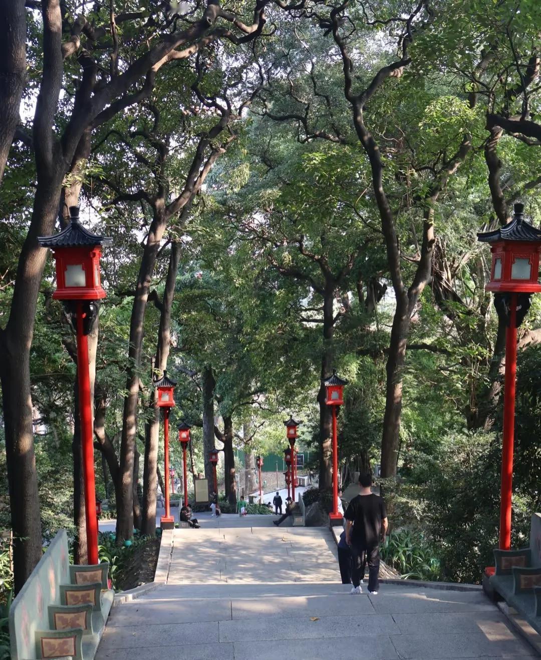 其实，
一定要防着任何人，
记住是任何人，
不要太有关系。
这话是我姥姥临终前拉