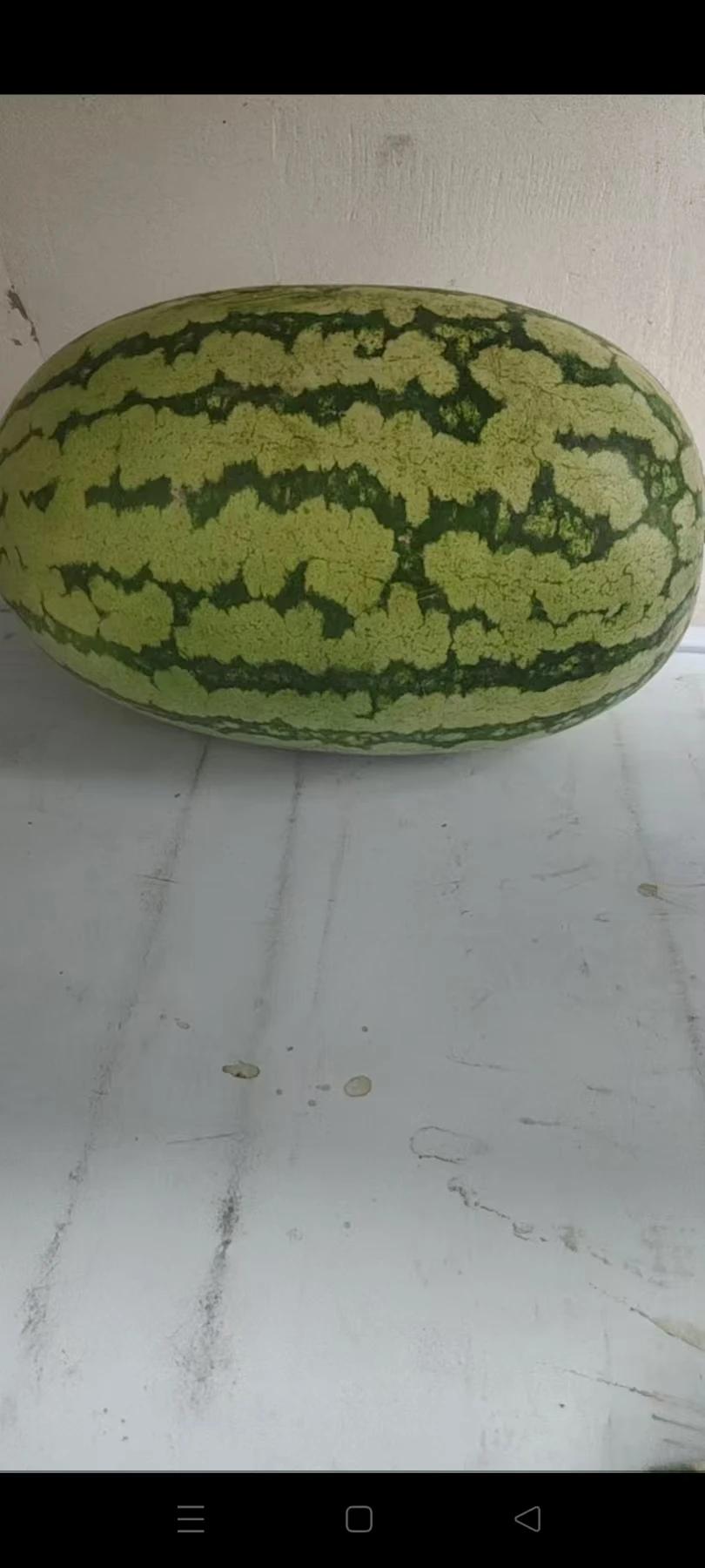 我要是有10000块钱的奖金，我就把它存在哪里？等我娶儿媳妇了加一块钱就是1万里