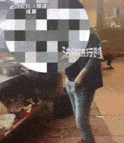 太坏了！女子去成都旅游，晚上找了一家地摊火锅吃串串，结果这期间女子就亲眼目睹，老