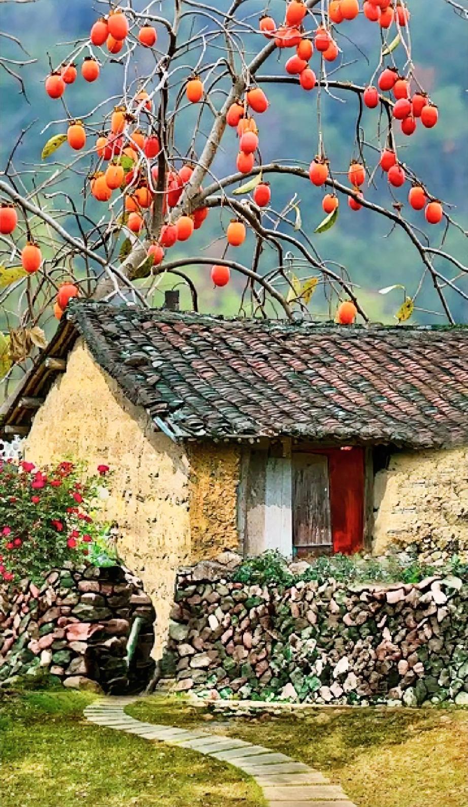 看到这个视频很感动，让我想起了我的大姨夫伺候我大姨的事情。
我大姨夫是抗日战争时