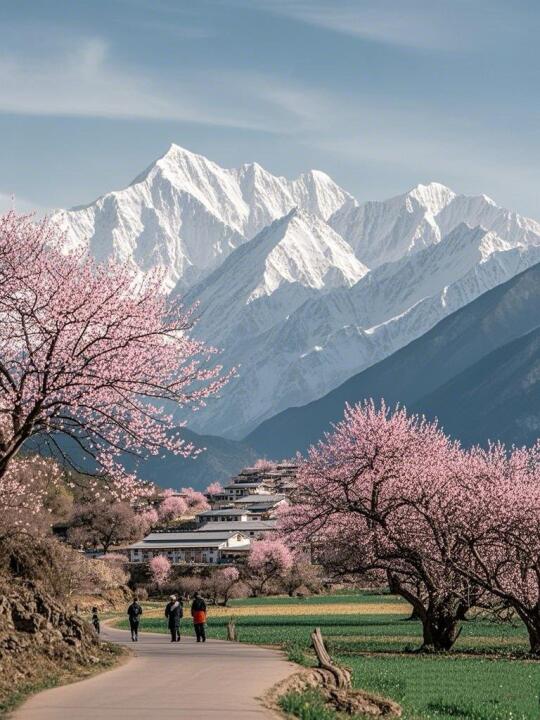 《国家地理》没骗我！林芝藏着国内最美的春天