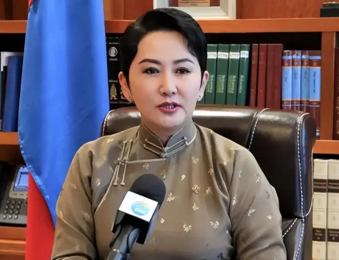 稀土管控重塑产业格局，日本高端制造深陷无法破解的资源困局。

很多人平时很少关注