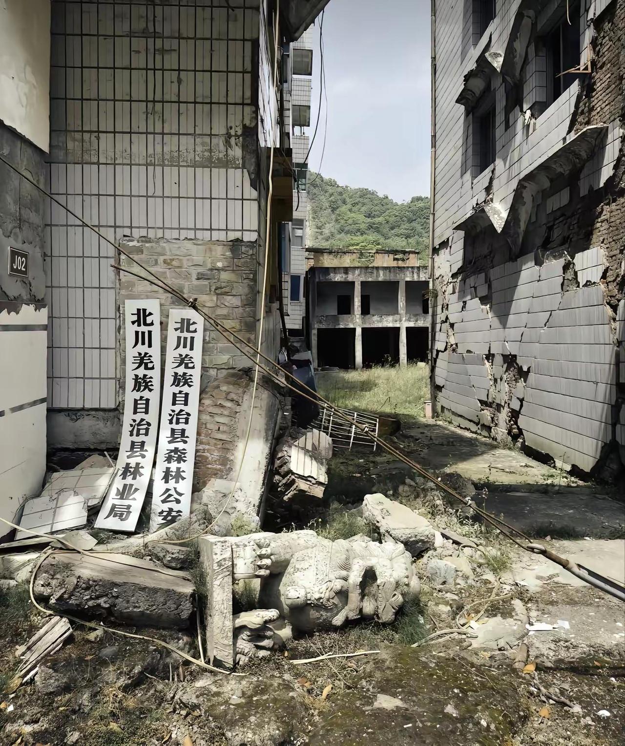 汶川地震18周年，18年了你们在那边过得好吗，反正我过得不好，我想你们了！