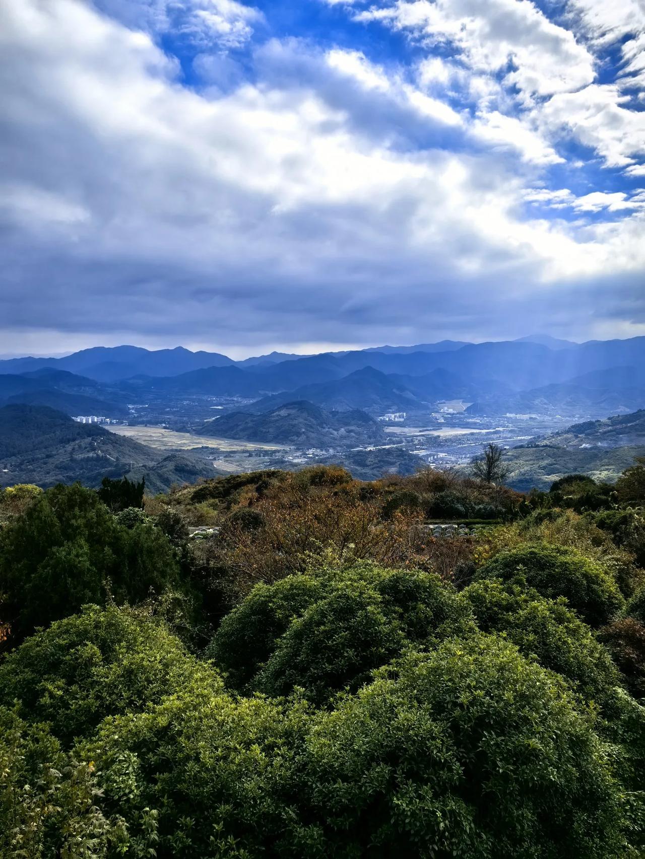 东山之上？
东山之上千峰翠！[爱慕]