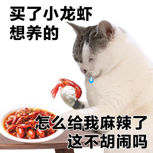 表情包 | 这不胡闹吗