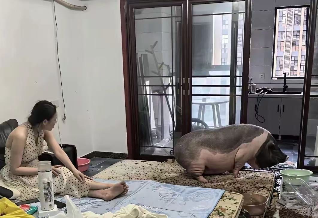 这样的家，我是一刻都呆不下去！ 