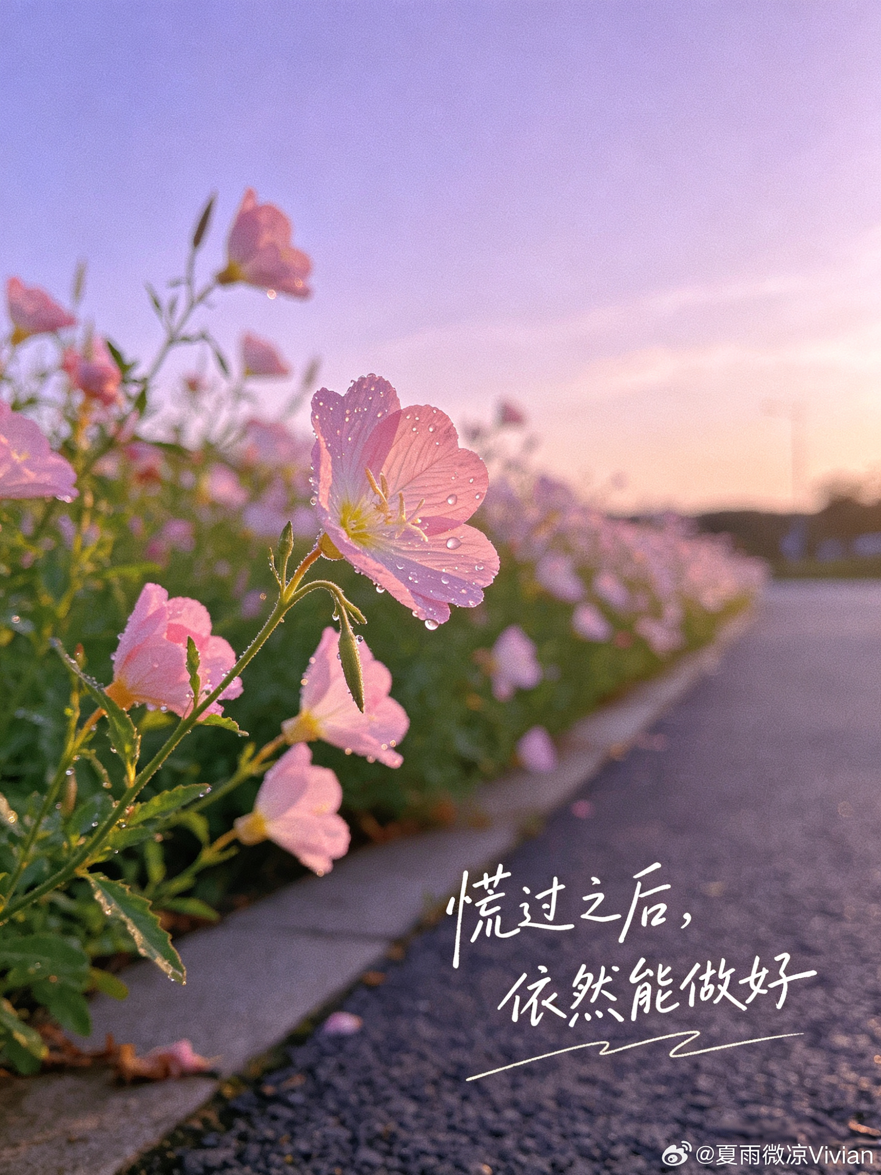 孙颖莎半亩花田全球品牌代言人 今天也是被莎莎的稳心态治愈的一天！赶ddl的时候想