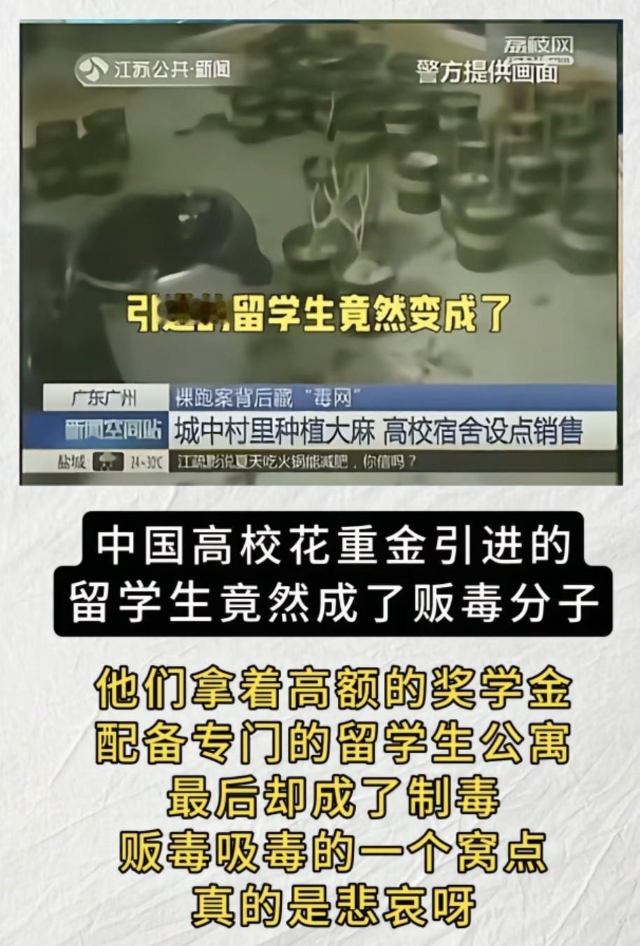 留学生宿舍变制毒窝点？拿着高额奖学金干这事儿，太糟心！
 
“留学生宿舍里制毒贩
