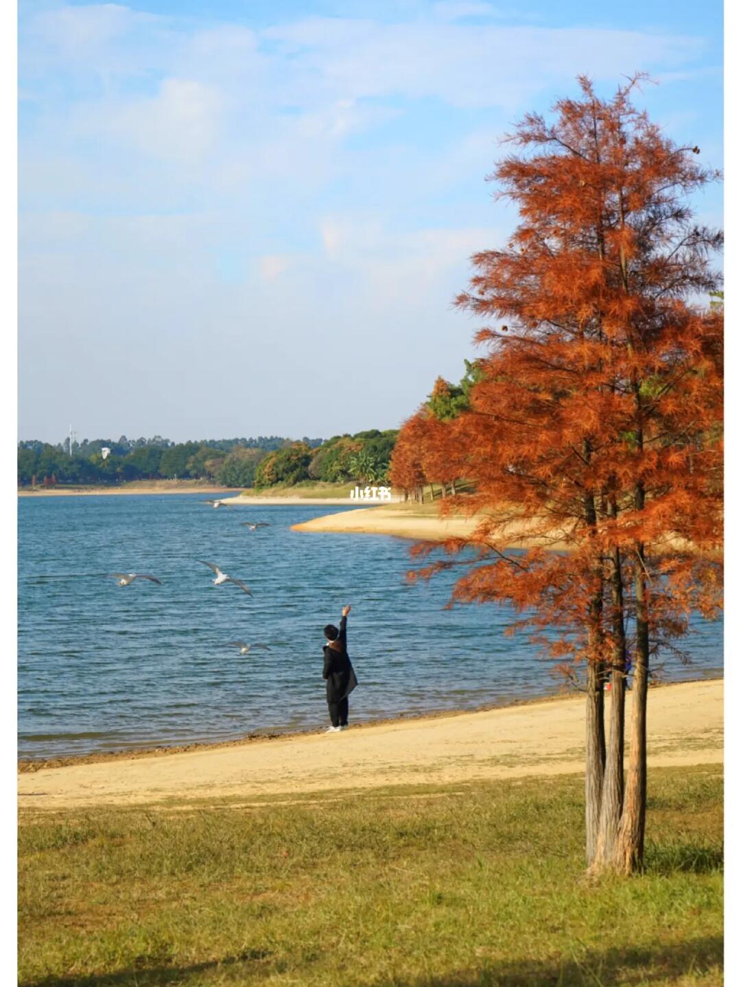 何需去大理‼️东莞这里就很像洱海