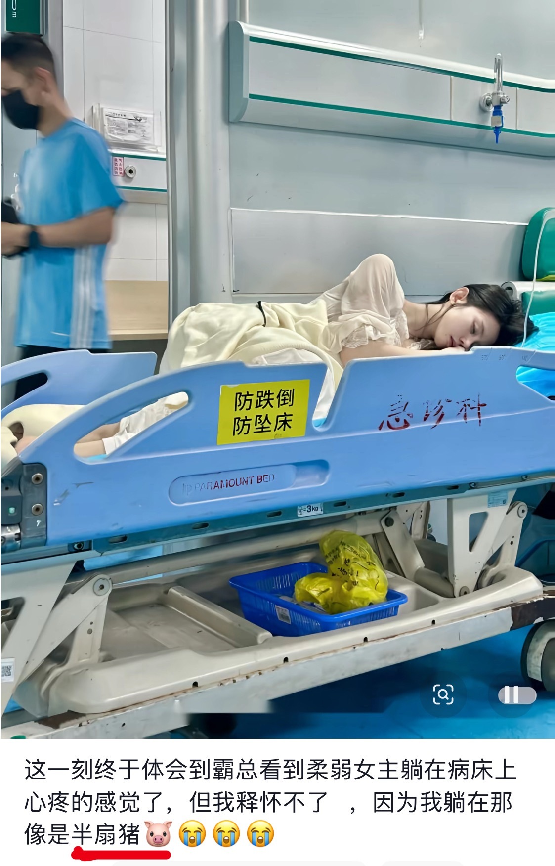 半扇猪，笑死😂 