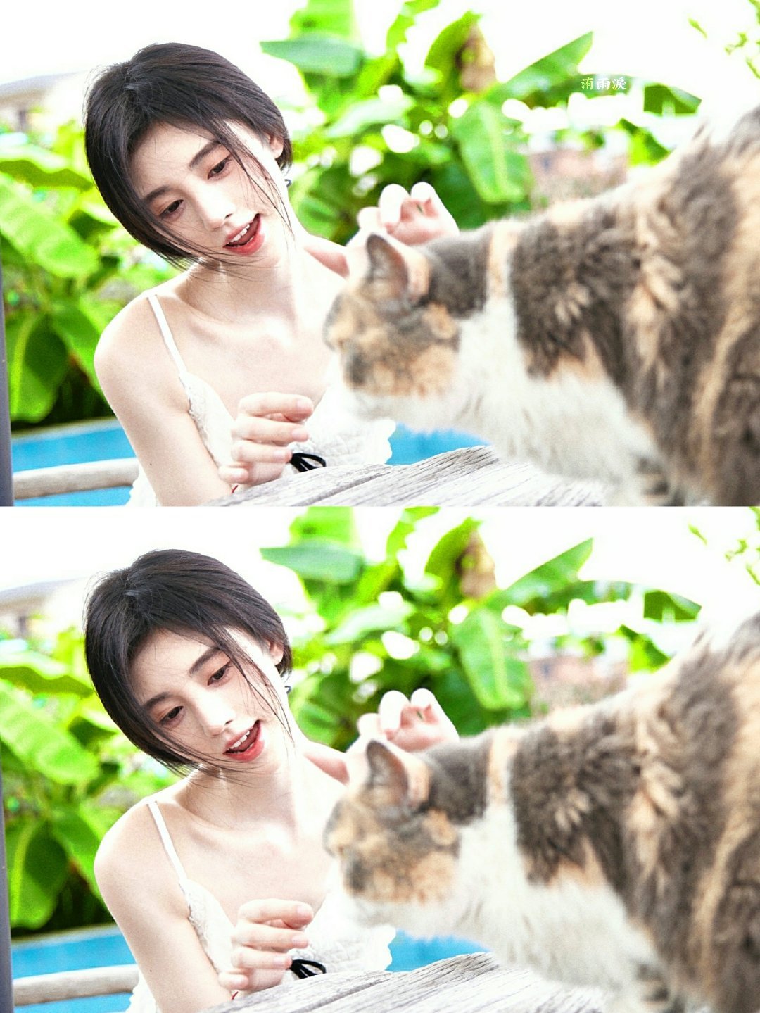 jjy鞠婧祎姜黎非jjy鞠婧祎千香我该怎么告诉你我不能没有你( •᷄⌓•᷅ )