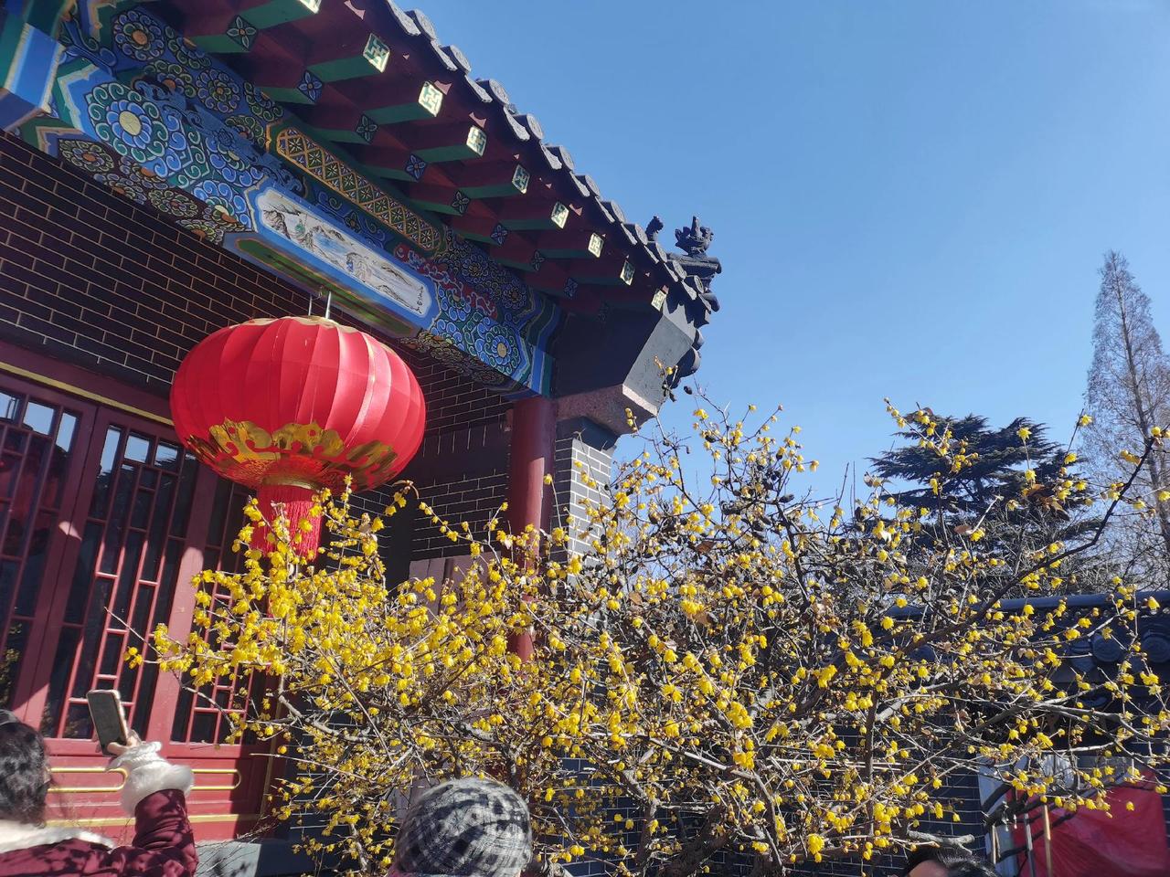 情人节，最该珍惜的“三个情人”
健康，让你有底气走遍山河；
乐观，让你在风雨中看
