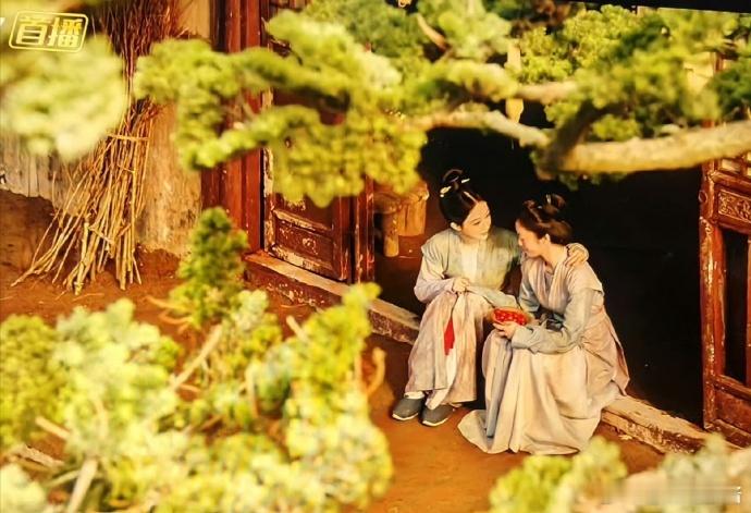 被国色芳华看落日这一幕戳中了 每个经历过困境的人，都可以在这场落日里看到自己重新