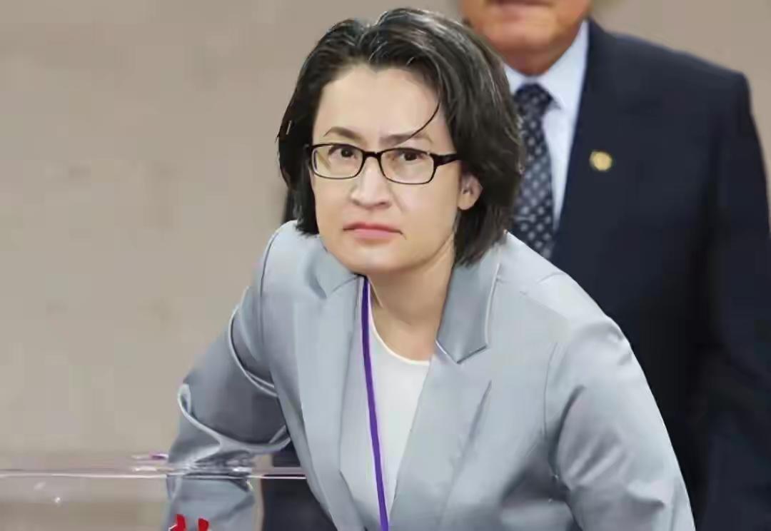 萧美琴带着“台独”口号跑欧洲议会刷存在感，花台湾民众的纳税钱租场地演戏，欧洲议会