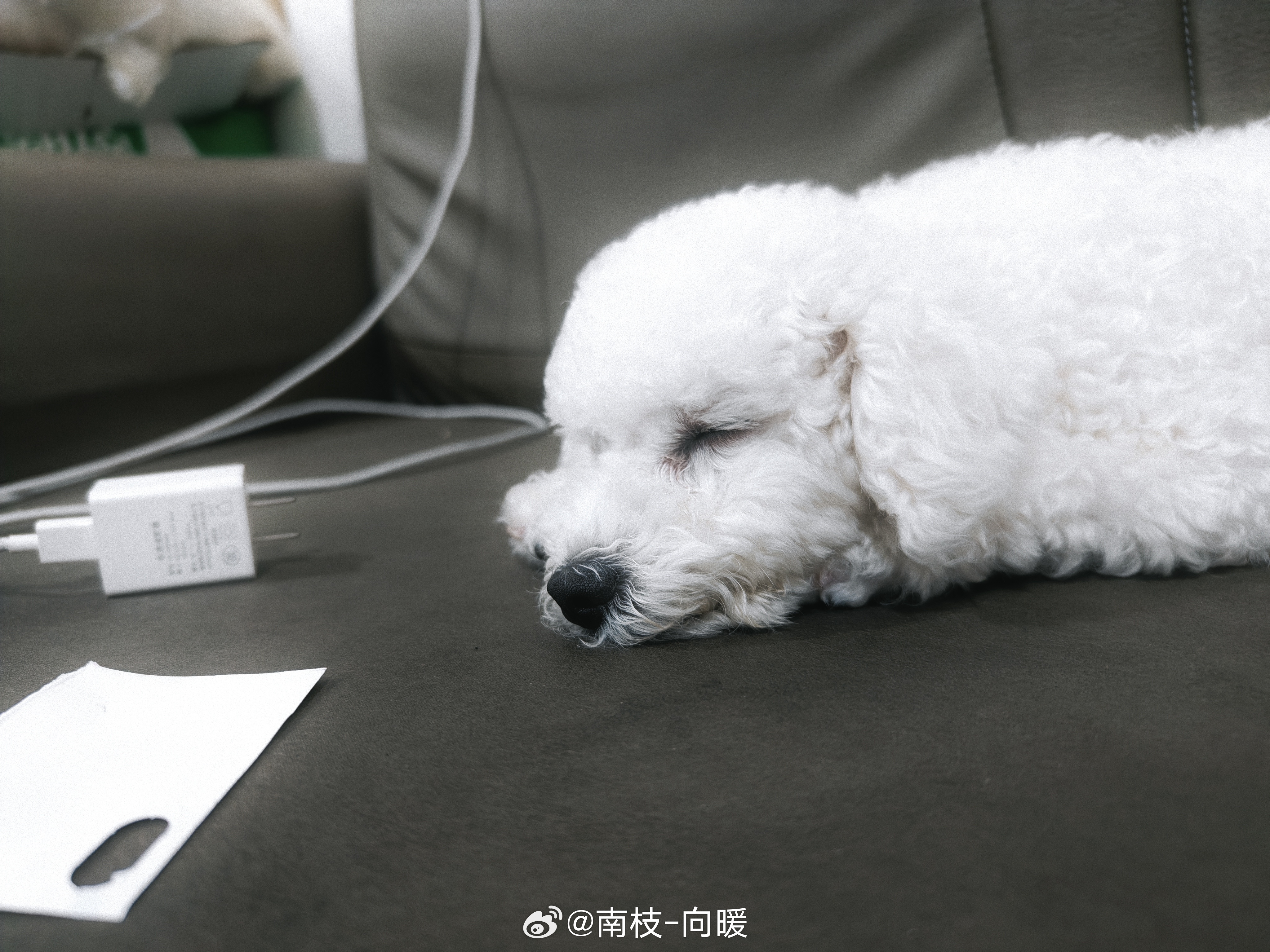 养只狗吧，真的很治愈。打工更多是情绪劳动