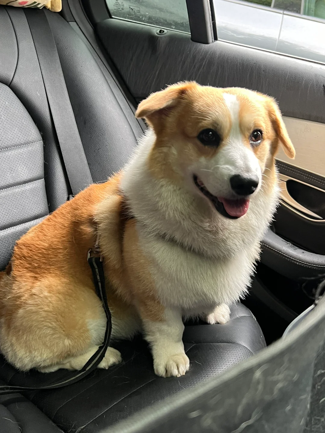 端午大家去哪里啦