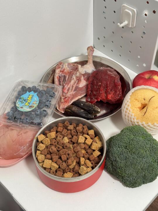 好吧🤷我承认我真的很会养中大型犬