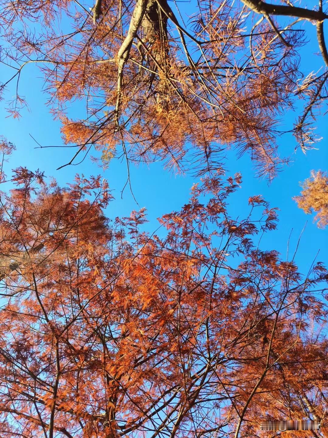 祝我们在2026年：
“马”力全开，
“马”到成功
“马”上有房
“马”上发财