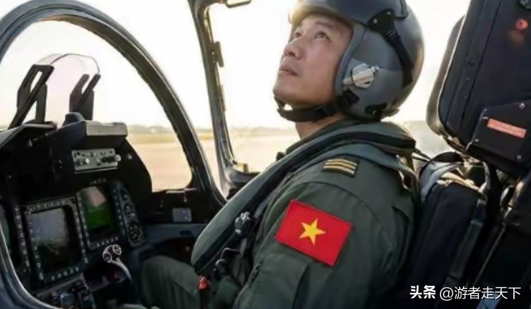 金灿荣前两天发了个视频，说小国买武器往往是希望大国能够提供一定的保护。
那越南既