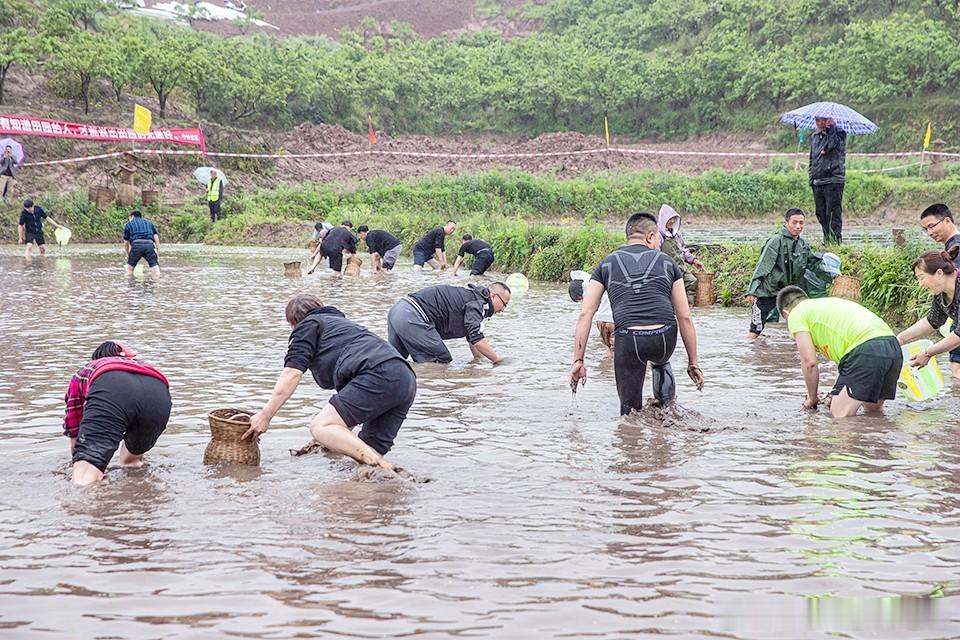 二手车参谋老杨 流水账（第223）         新车价格波动带来消费者决策混
