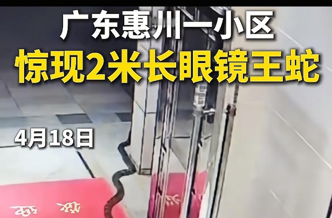 人类过度保护有毒或危险动物，终将尝到恶果。说来说去，还是现在人吃得太饱，忘记了人
