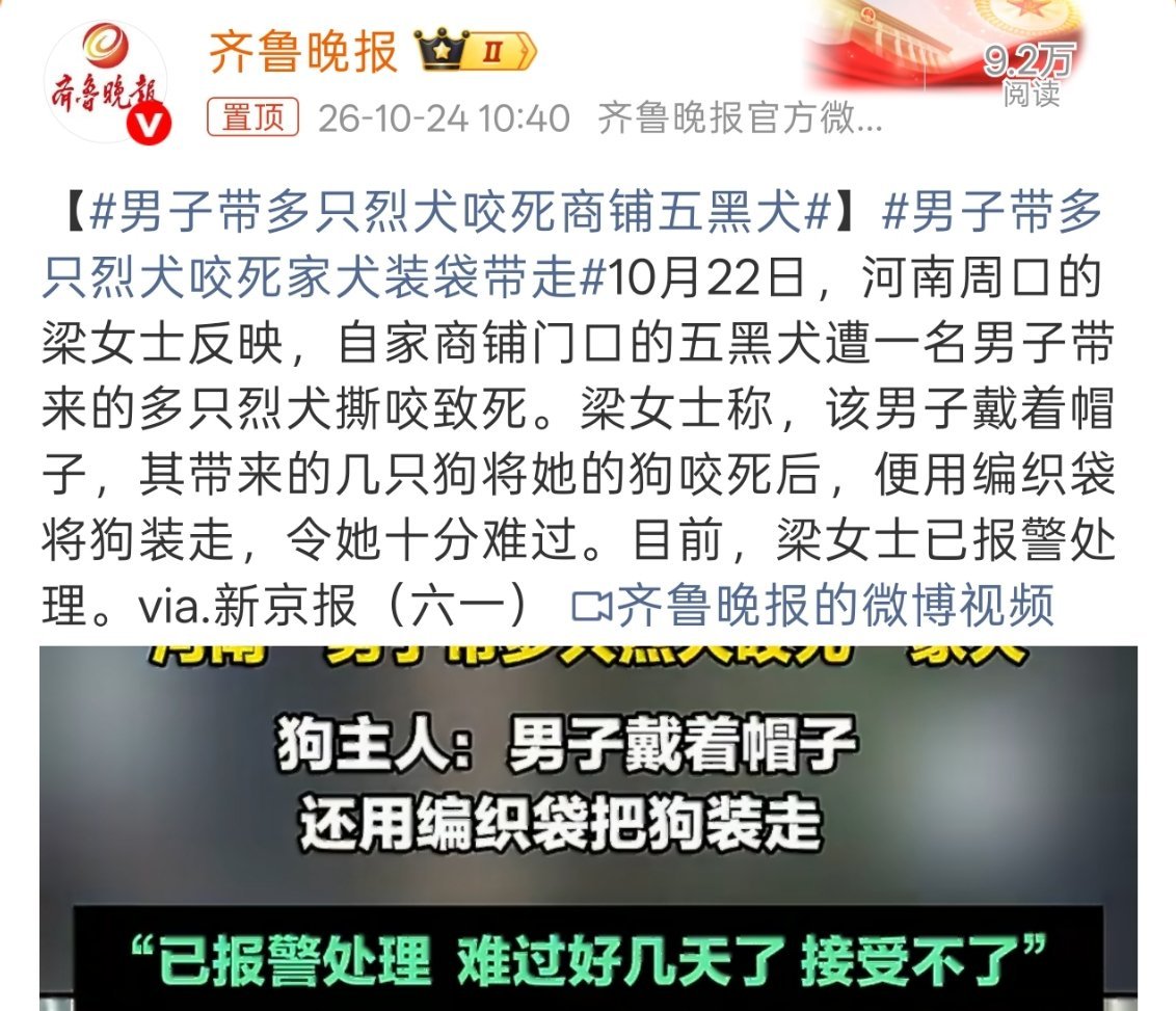男子带多只烈犬咬死商铺五黑犬真有点恐怖了，这么多只烈犬，就是小一点的孩子也没有还