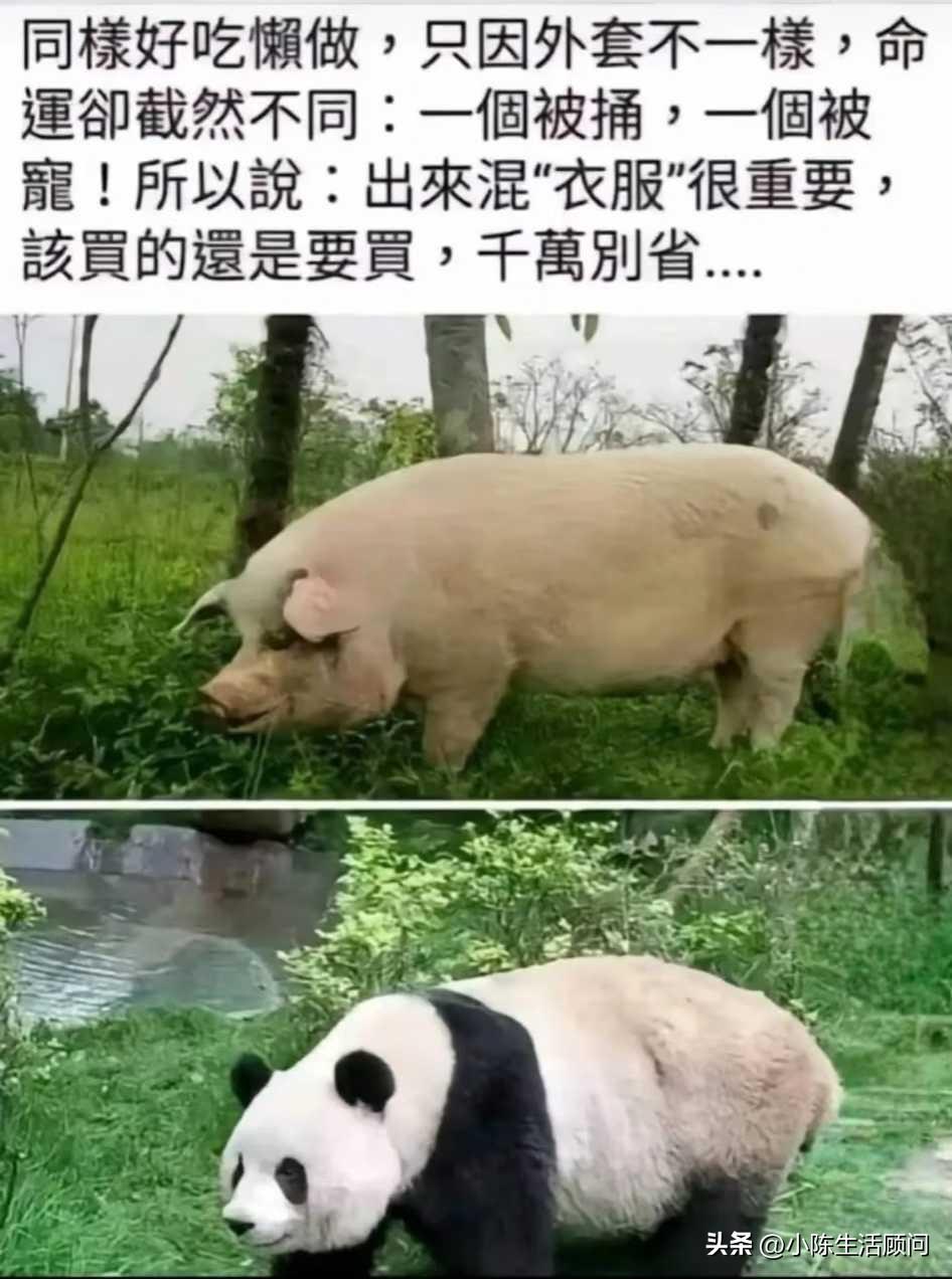 分享一下今日感悟