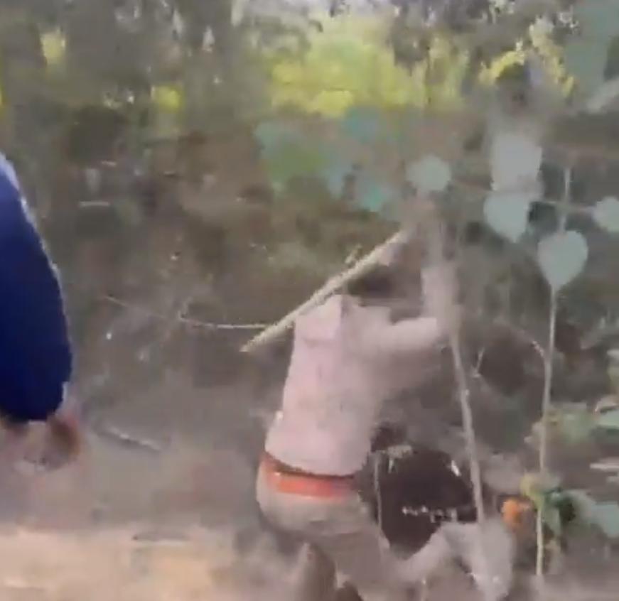 北方邦野猪袭击森林官员视频疯传 一段视频显示，在北方邦巴道恩县乌贾尼警察局辖区内
