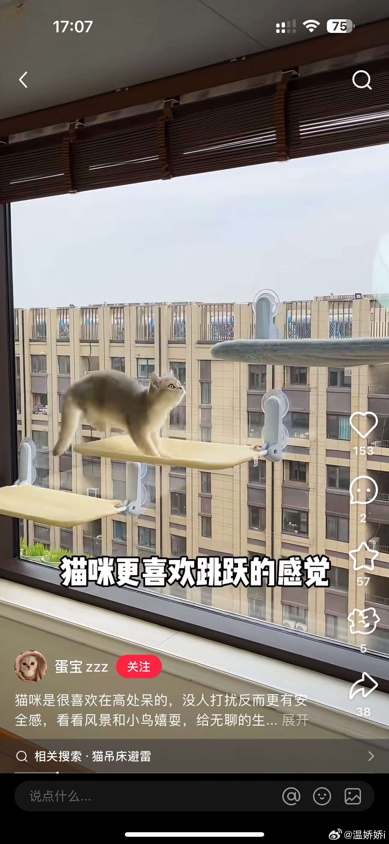 老婆们这种观景台有用过的吗可以买吗 [皱眉] ​​​