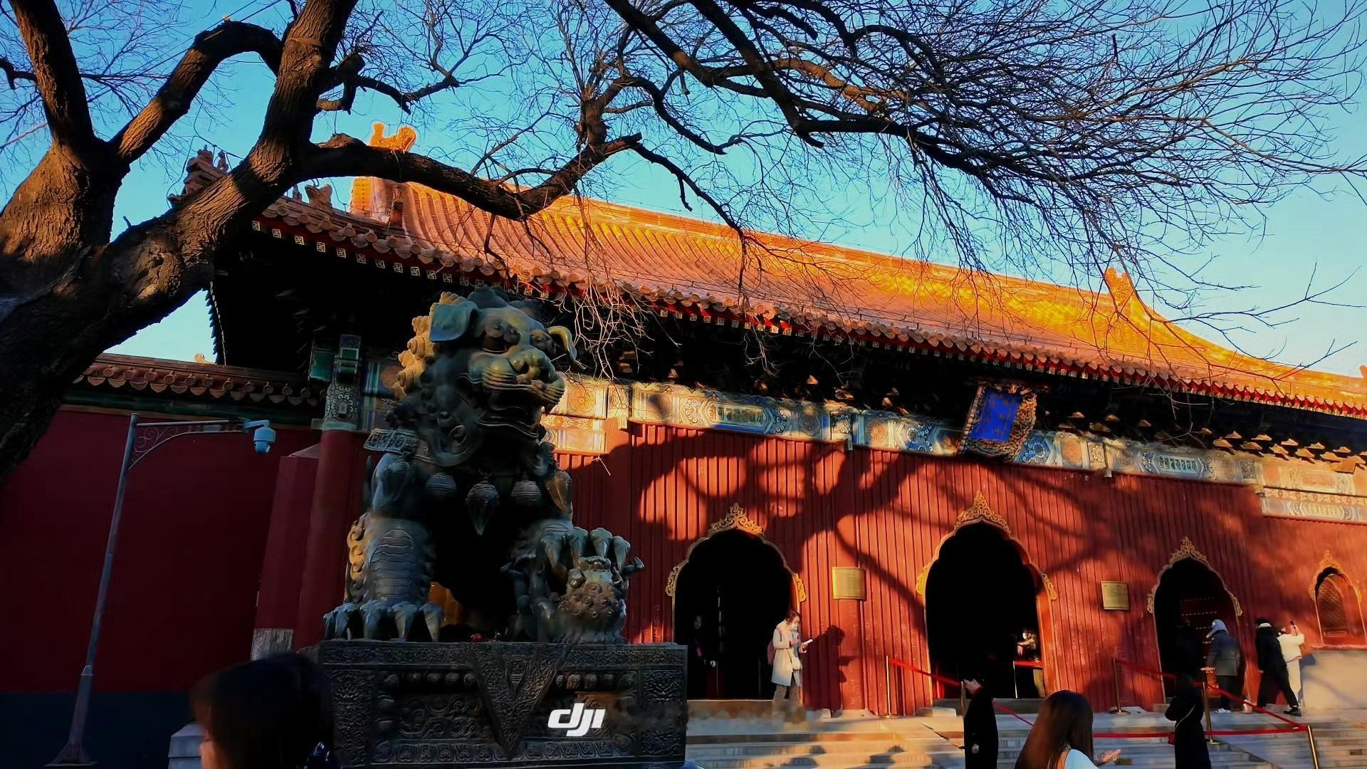 对我来说怎么算是成功呢？就是买很多车，这样我想开哪台就能开哪台，想想就觉得超幸福