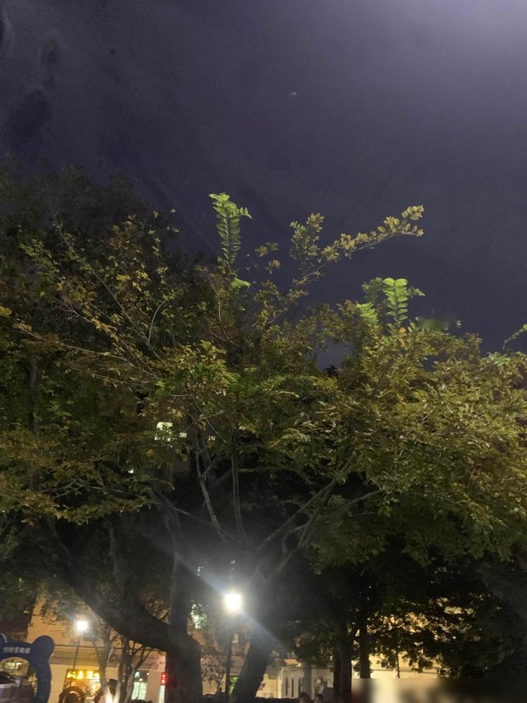 世上最玄的事莫过于是你亲眼目睹却又无法用科学解释得了的事。

我二十多年前搞三万