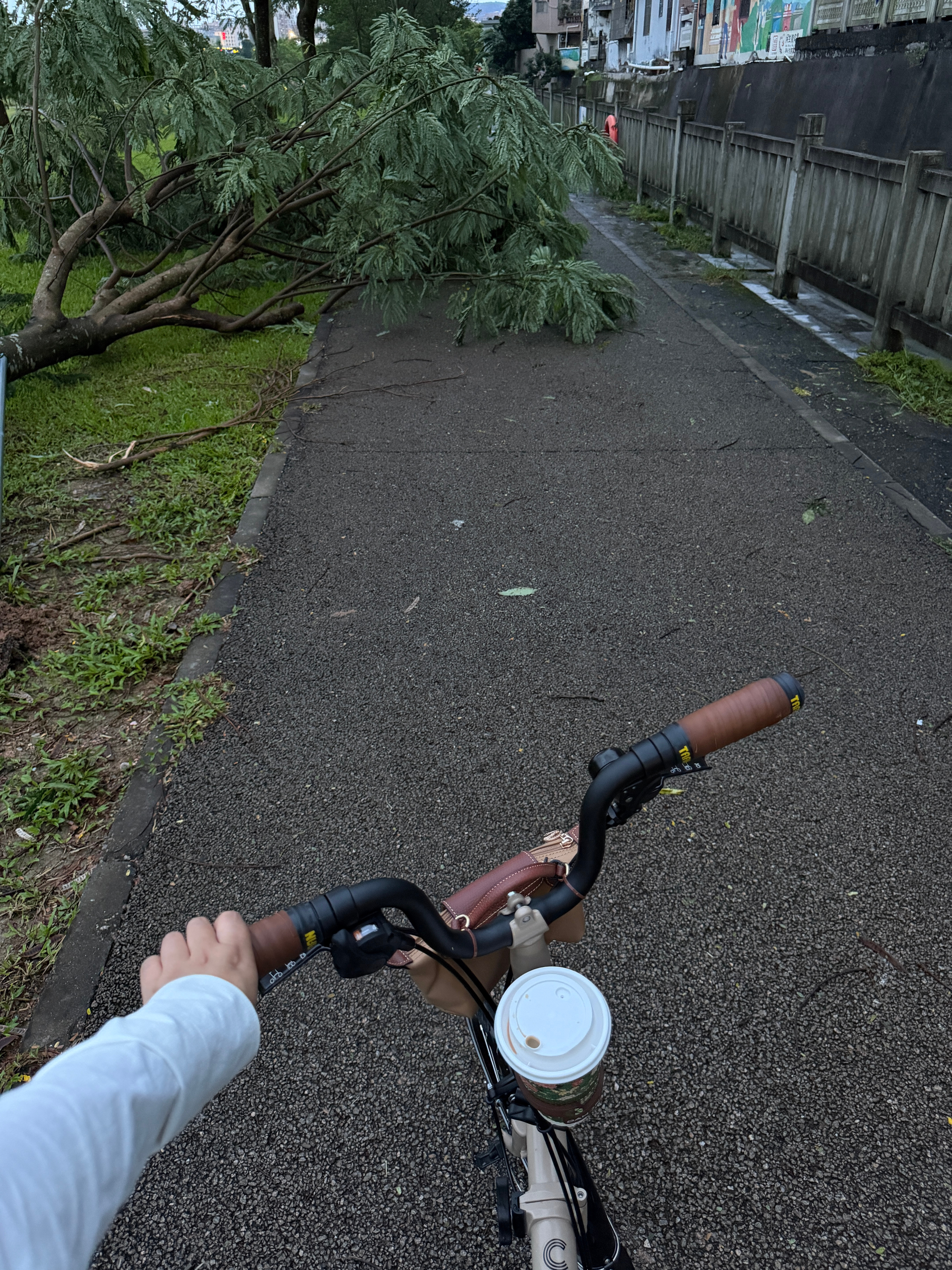 台风走后的天气真舒服啊，趁着凉快赶紧出来骑个车。这次红霞威力不小，公园里很多树都
