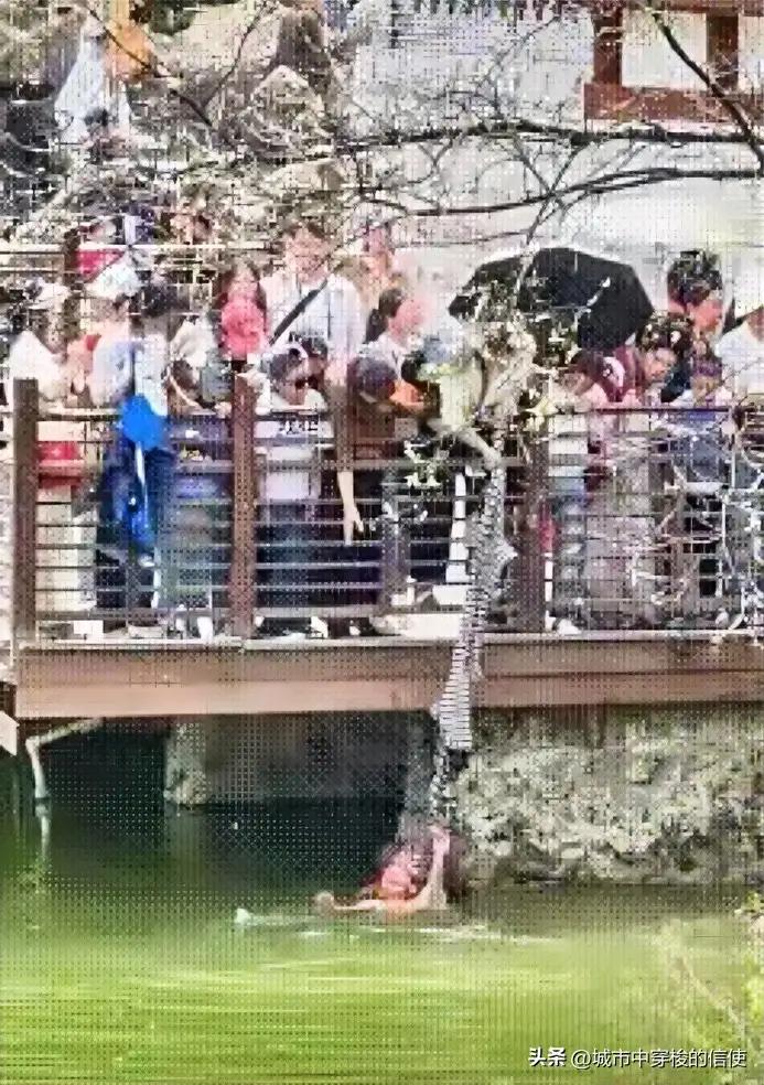 人品好才有善举！

人品好才有善举！这并非一句空洞的道德口号，而是无数次在生死攸