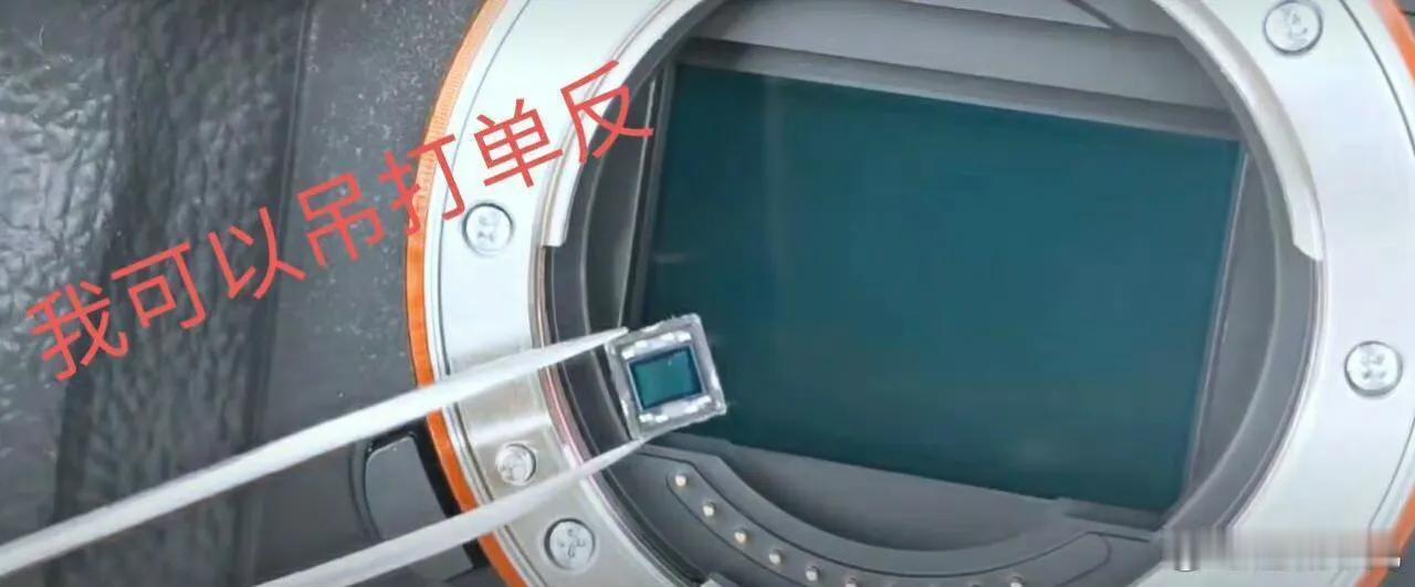 这几年好多厂商说自家的手机摄影媲美单反，直到我看到这张图，我笑了！小的是手机镜头