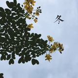纳银读读科技