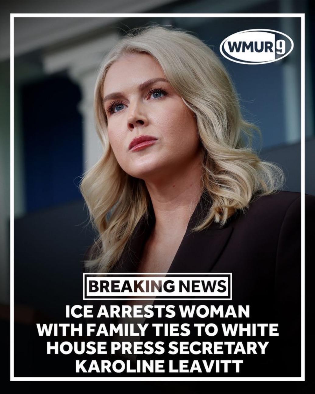 白宫新闻秘书卡罗琳·莱维特的侄子的母亲目前被美国移民及海关执法局（ICE）拘留，