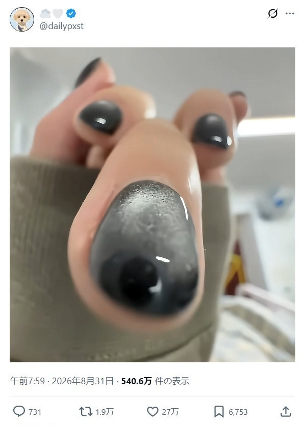 bro wtfmeme ​​​