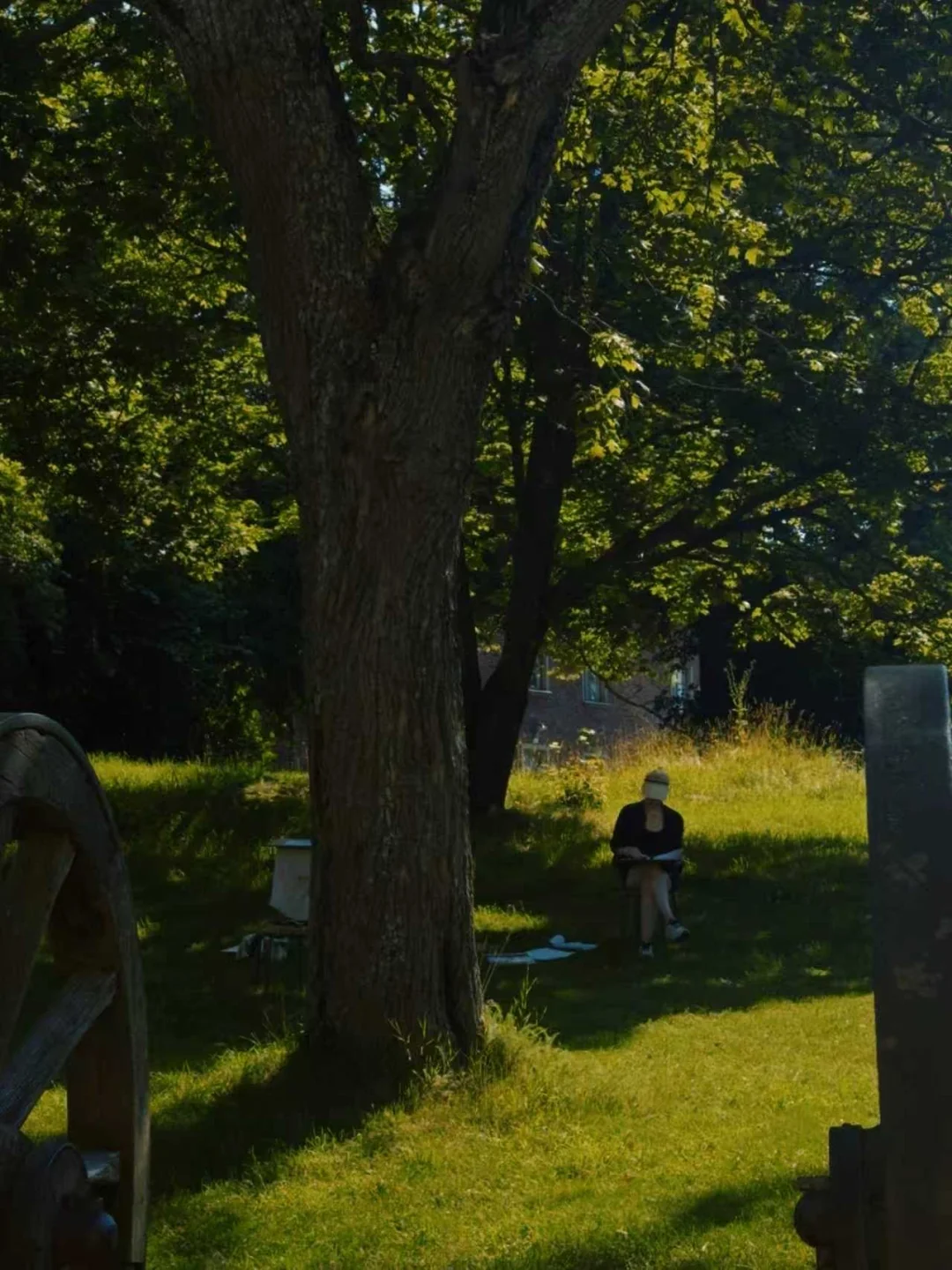 为什么芬兰一直在追逐「干净」这件事