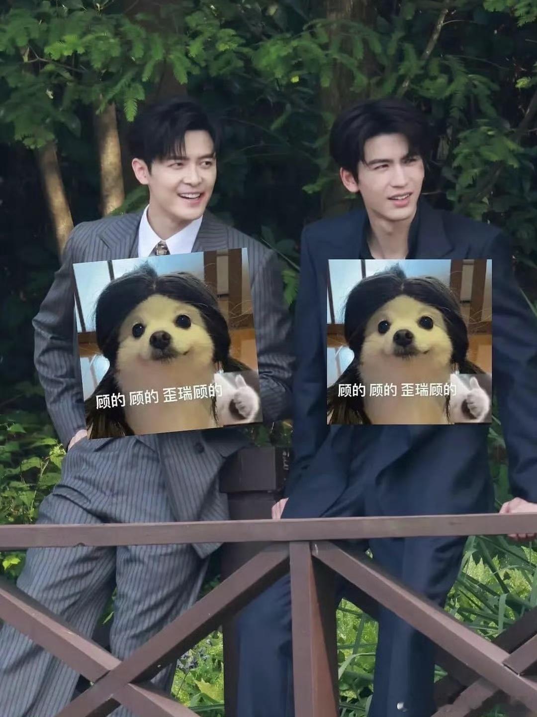 左边赢了...... ​​​
