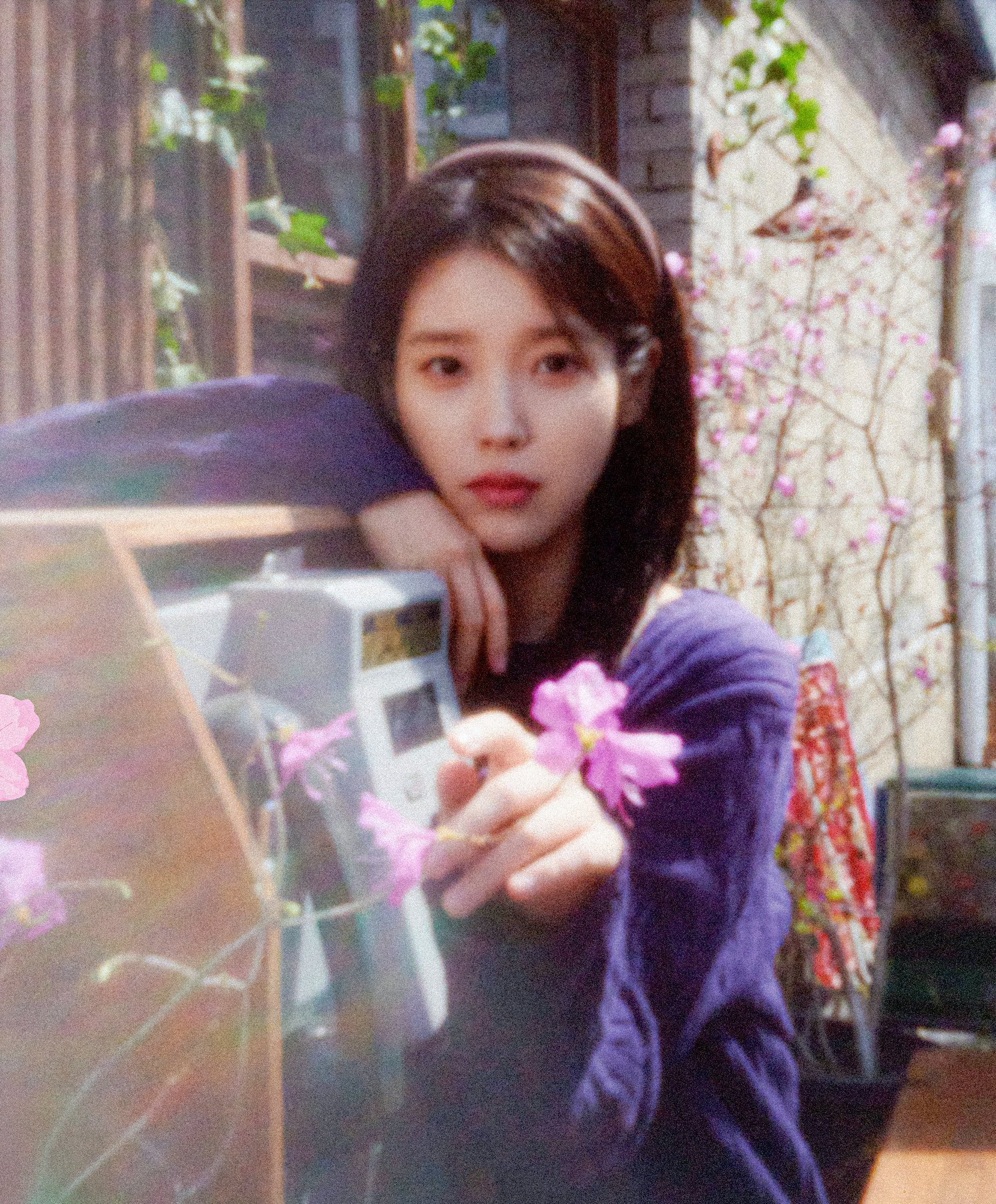 IU[超话]🐥IU0527花书签3onlyU消息-250515 IU相关美图早