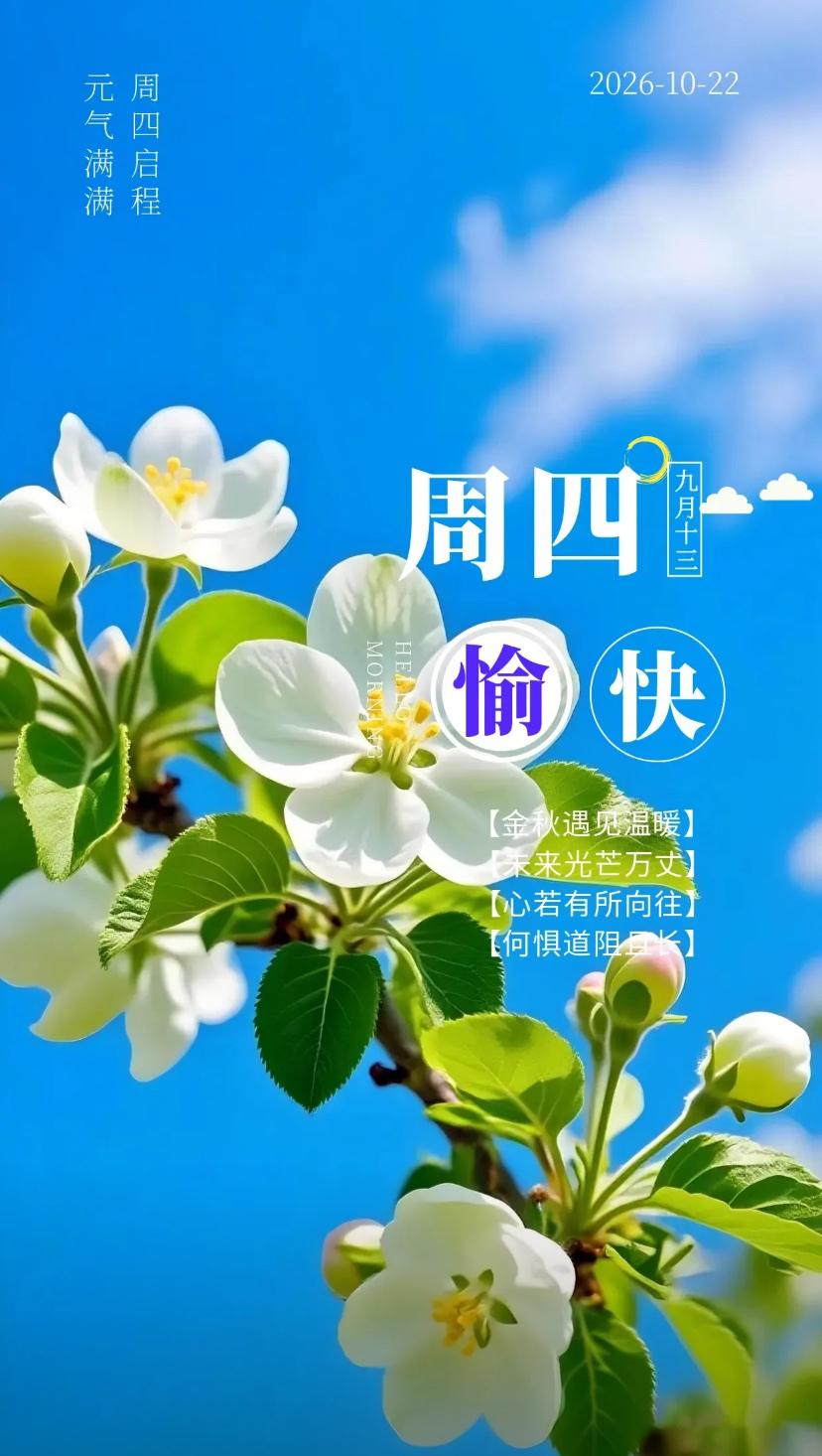 秋晨心语，霜浸寒枝敛万芳，尘嚣渐远初心亮。
2026./10.22.
[微风][
