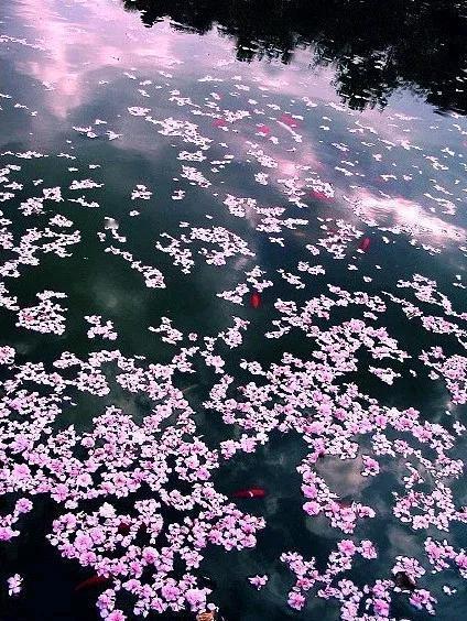 下联：聚聚散散人间常。

  横批：世事无常