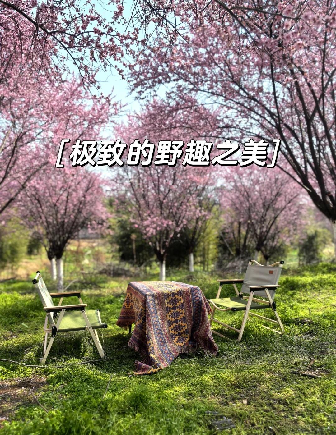 粉色浪漫下，藏着带血的网！😅🚫
⚠️慎入！嵊州这片“粉色花海”，可能是个美丽