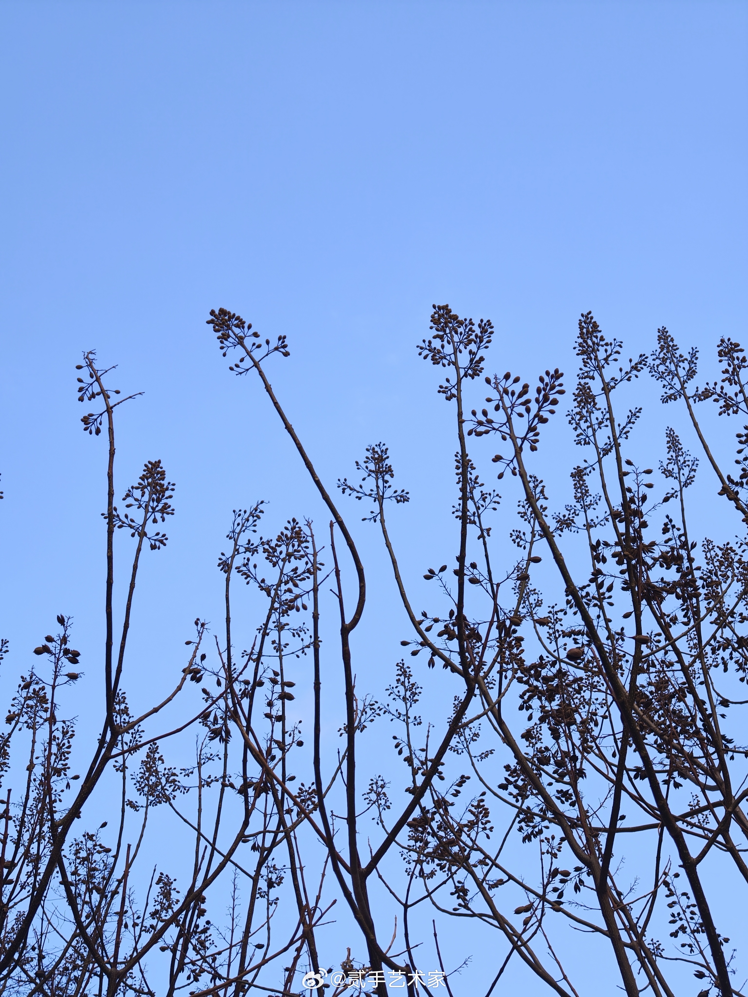 万物生长靠太阳🌞 