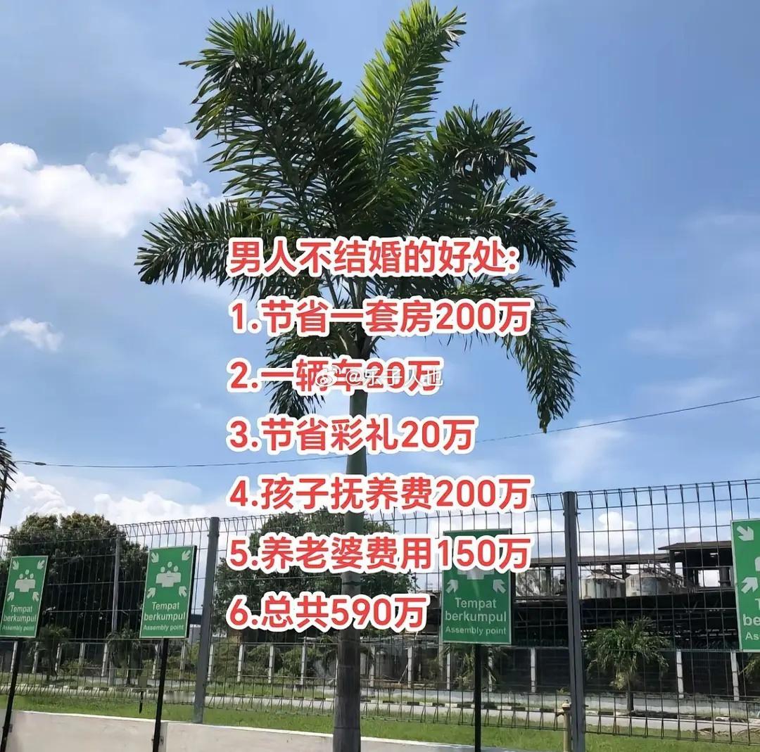 男人不结婚的好处🈶 