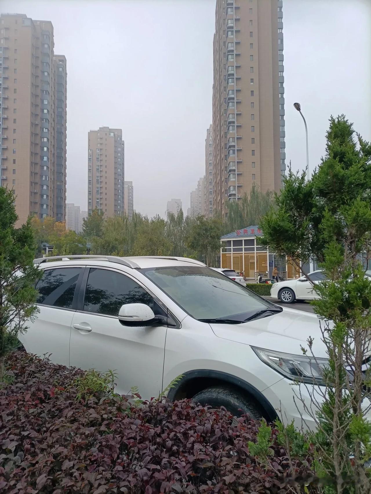 #记录美好生活点滴#今日银川市天气雾霾，笼罩大地楼区，如入仙境。