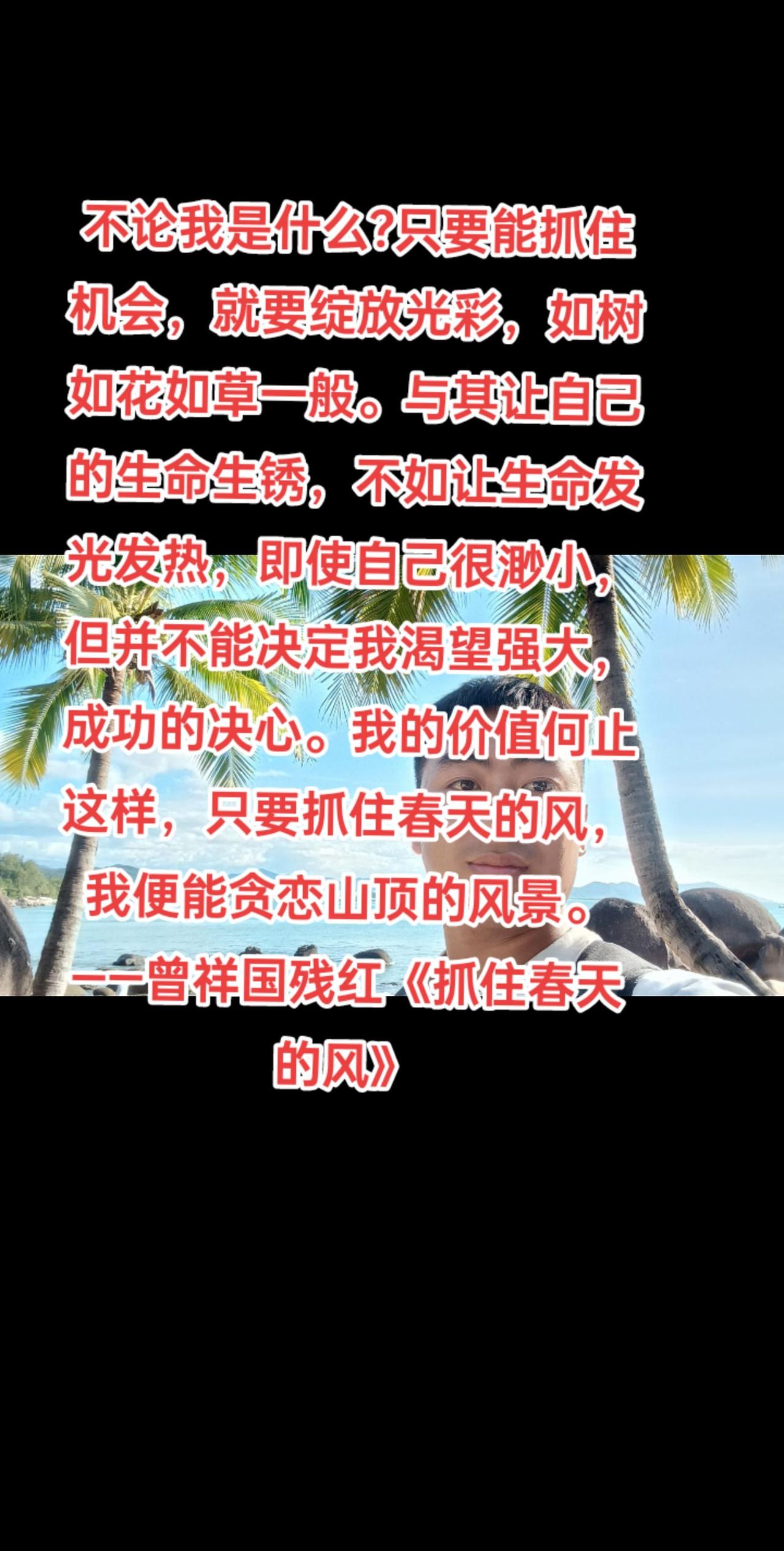 不论我是什么?只要能抓住机会，就要绽放光彩，如树如花如草一般。与其让自己的生命生